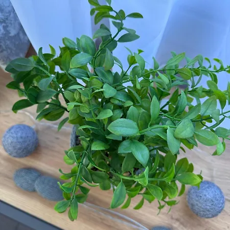 Appartement Zorica Novi Sad